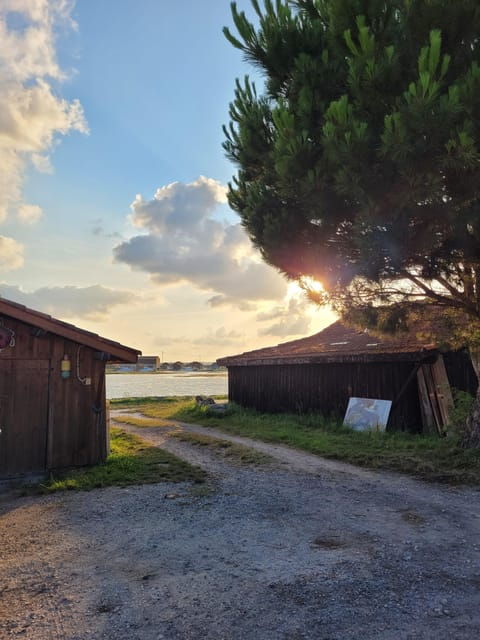Best of Arcachon Bay: Private Guided Tour, Dune Du Pilat & Oyster Village - Important Considerations for Participants