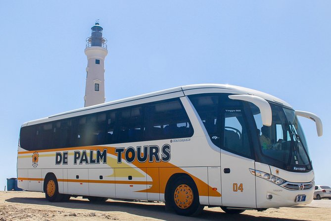Best of Aruba by Bus - Traveler Photos and Reviews
