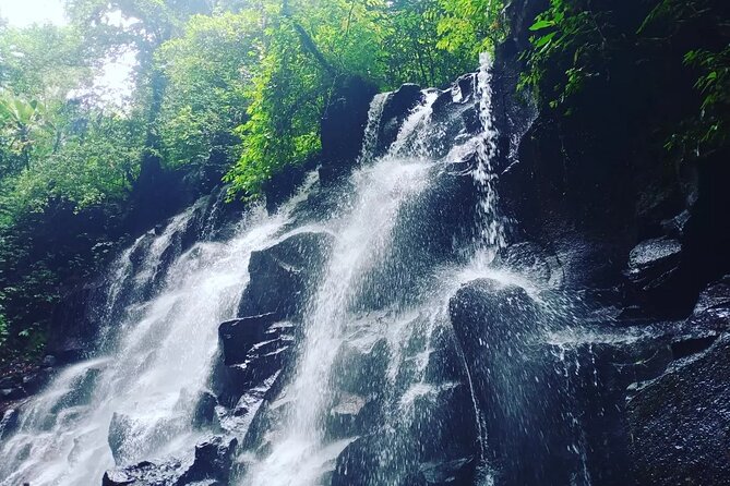 Best Of ATV Quad Bike Jungle Swing And Waterfall Private Tour - Inclusions