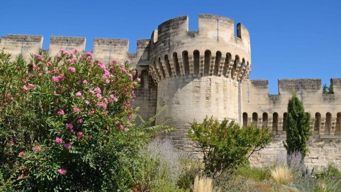 Best of Avignon: Private Walking Tour With a Local - Navigating Local Cuisine, Markets, and Culture