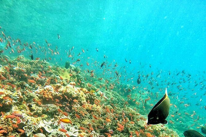 Best Of Bali 3 Days Bali Adventure Tour Package - Good To Know