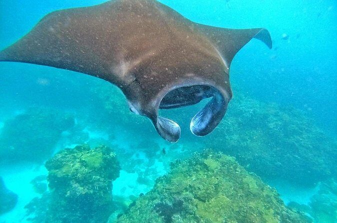 Best Of Bali 3 Days Bali Adventure Tour Package - FAQ