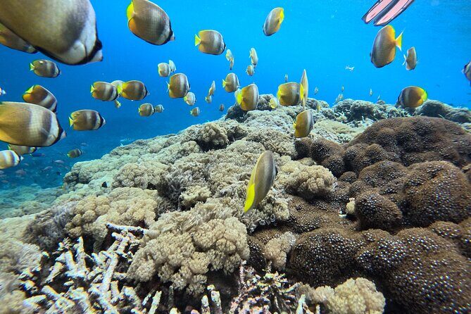 Best Of Bali 3 Days Bali Adventure Tour Package - An In-Depth Look at the 3-Day Bali Adventure Tour