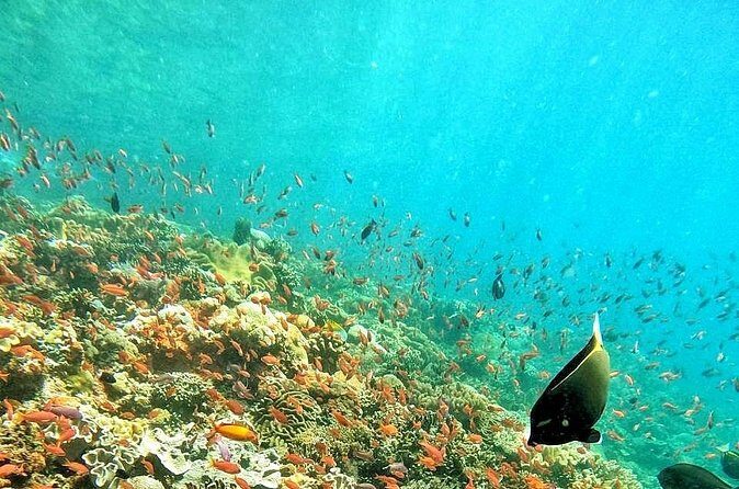 Best Of Bali 3 Days Bali Adventure Tour Package - The Sum Up: Who Should Consider This Tour?