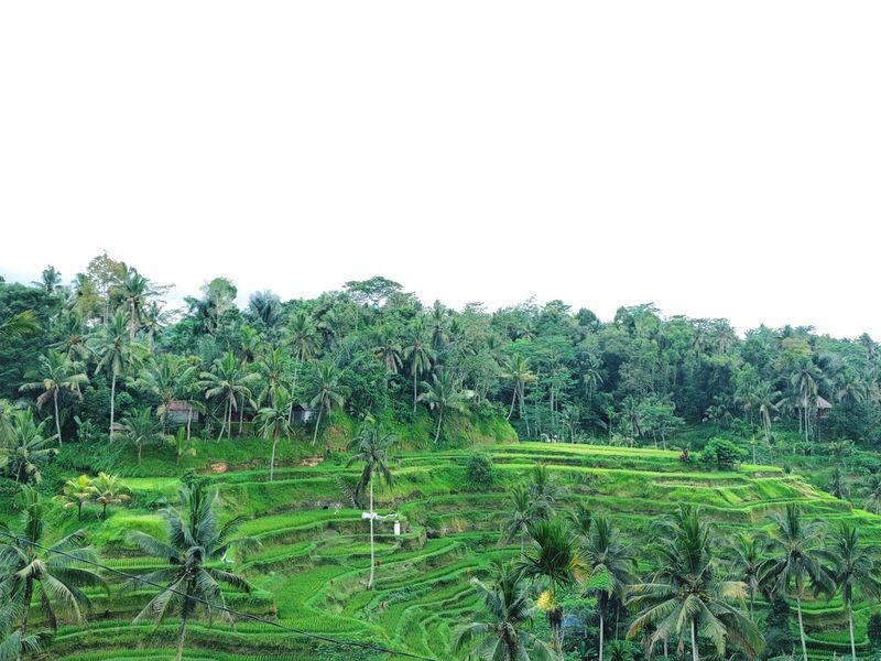 Best of Bali Day Tour for Korean Elderly - What the 08:00 start means for your day