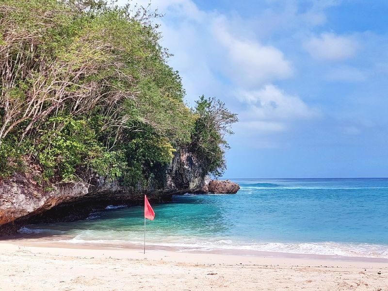 Best of Bali Day Tour for Korean Elderly - Is the price good value?
