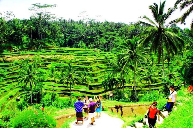 Best of Bali in One Day Tours 13 Hours - Itinerary Overview