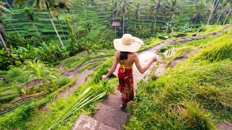 Best of Bali: Private Customizable Day Tour - Good To Know