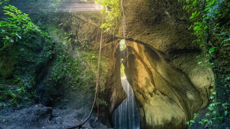 Best of Bali: Private Customizable Day Tour - FAQ