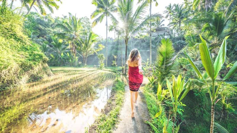 Best of Bali: Private Customizable Day Tour - Comfort & Transport