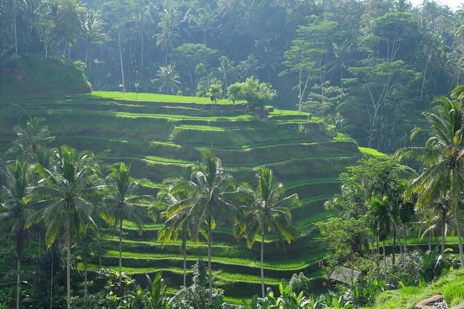 Best of Bali Private Shore Excursions - FAQ