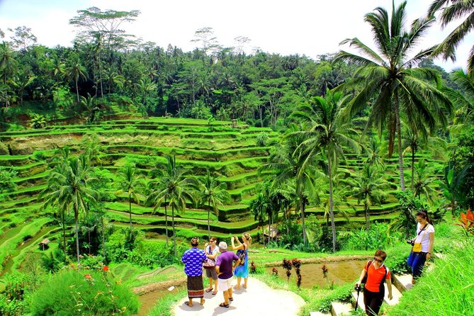 Best of Bali Tour - All Inclusive - Itinerary Overview