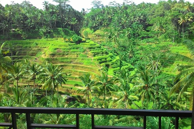 Best of Bali : Ubud, Rice Terrace, Tanah Lot Temple With Lunch - Rice Terrace: Discovering Balis Green Oasis