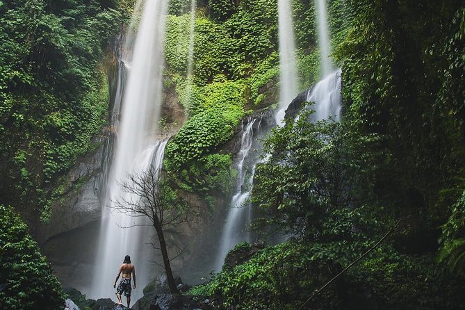 Best of Bali Waterfalls. Part 2 (Sekumpul, Munduk, and Banyumala Twins) - Inclusions and Exclusions
