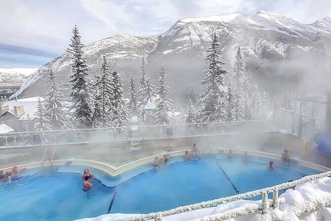 Best of Banff in Winter & Wildlife & Crazy Carpet Sled - An Honest Look at the Tour Itself