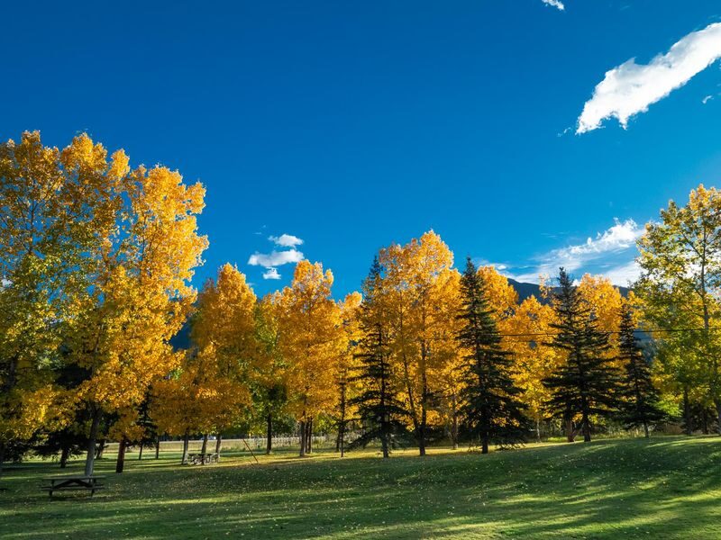 Best of Banff National Park Small Group Tour - Who should book this day trip?