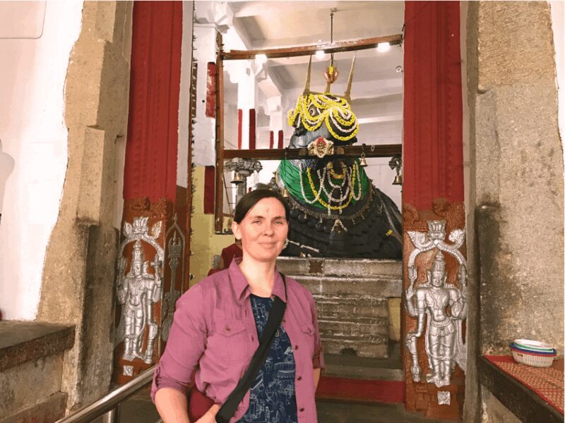 Best of Bangalore - Half day Private tour in 3 hours - Who This Tour Is Best For