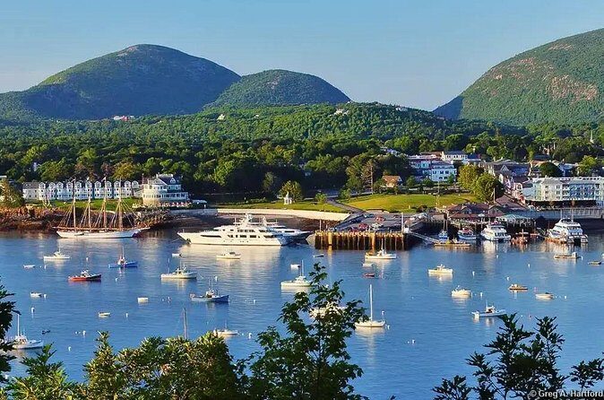 Best of Bar Harbor: 2-Hour Guided Food Walking Tour - Who Should Consider This Tour