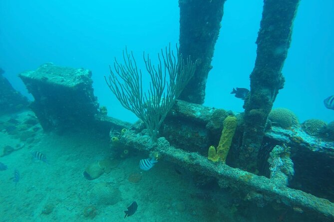 Best of Barbados Land and Sea Tour - The Sum Up