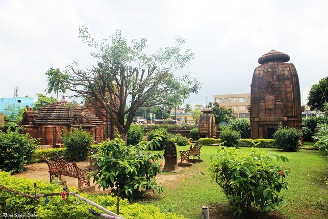 Best of Bhubaneswar (Guided Halfday Sightseeing Tour by Car) - Why the "Best of Bhubaneswar" Guided Tour Stands Out
