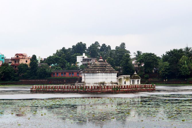 Best of Bhubaneswar (Guided Halfday Sightseeing Tour by Car) - An In-Depth Look at the Itinerary