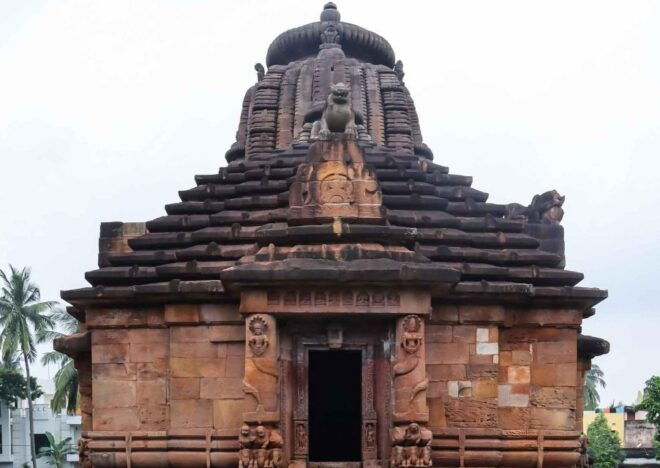 Best of Bhubaneswar (Guided Halfday Sightseeing Tour by Car) - Tour Highlights