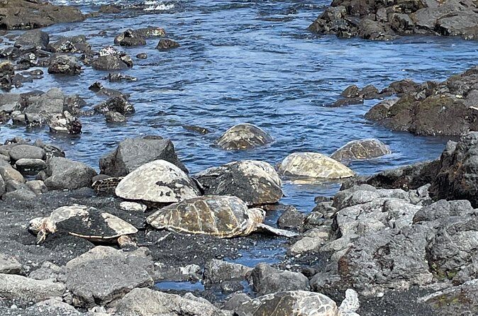 Best of Big Island: Volcanoes, Waterfall, Blacksand Beach & Lunch - FAQ