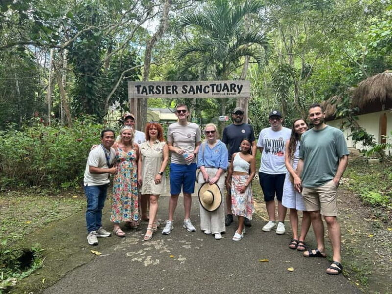 BEST OF BOHOL: Chocolate Hills & Tarsier w Lunch at Loboc - Authentic Experiences and Traveler Insights