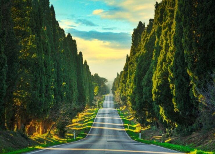 Best of Bolgheri- Full Day Private Experience in Bolgheri - Activity Description