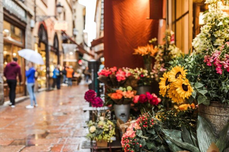 Best of Bologna: Private & Personalised Walking Experience - Booking Details