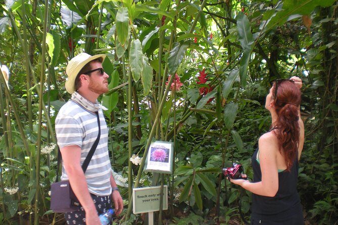 Best of Both Worlds Land and Sea Adventure - In-Depth Itinerary Breakdown  