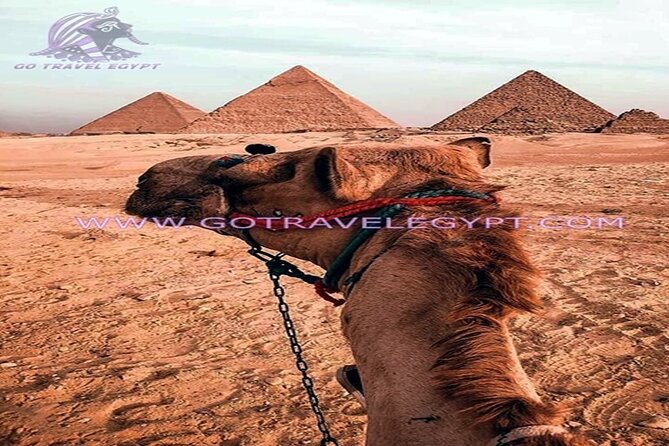 Best of Cairo and Giza Egyptian National Museum and Giza Pyramids - Pricing and Booking