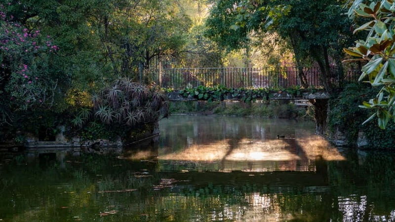 Best of Caldas da Rainha: Private Walking Tour with a Local - Practical Details and Value