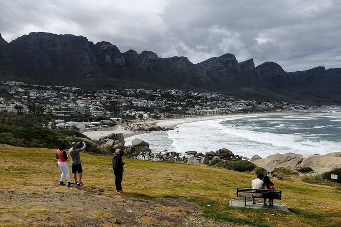 Best of Cape Private Tour, Penguins and Wines in Constantia - Personalized Cape Town Exploration