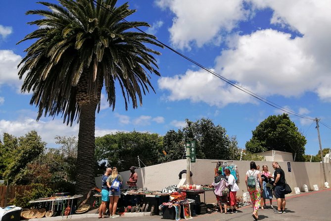 Best of Cape Private Tour, Penguins and Wines in Constantia - Scenic Routes and Iconic Sights