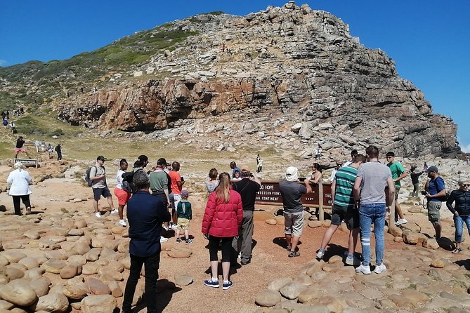 Best of Cape Private Tour, Penguins and Wines in Constantia - Penguin Encounter at Boulders Beach