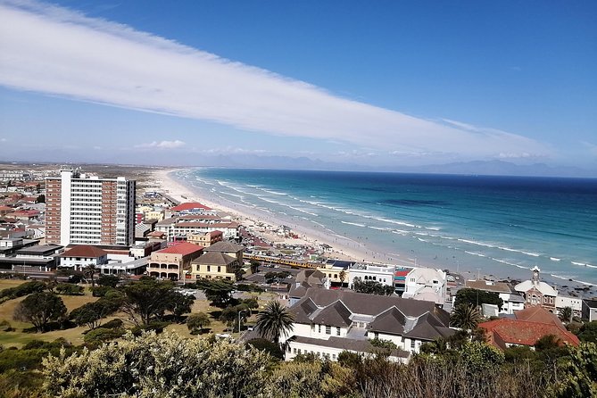 Best of Cape Private Tour, Penguins and Wines in Constantia - Wine Tasting in Constantia Valley