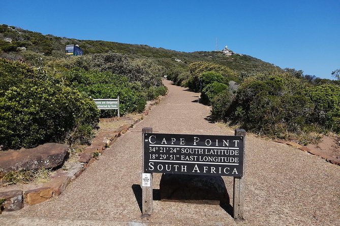 Best of Cape Private Tour, Penguins and Wines in Constantia - Common Questions
