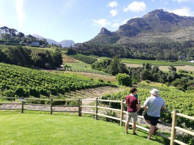 Best of Cape Town in a Day (Cape Point, Penguins and More) - Constantia Wine Tasting