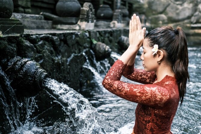 Best of Central Bali: Rice Field, Kintamani Volcano, Water Temple - Rice Terraces in Tegallalang