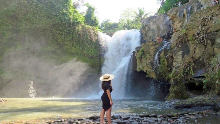 Best of Central Bali: Waterfall, Elephant Cave & Rice Fields - Overview of Central Balis Top Attractions