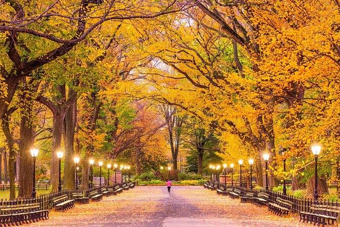 Best of Central Park Bike Tour - Good To Know