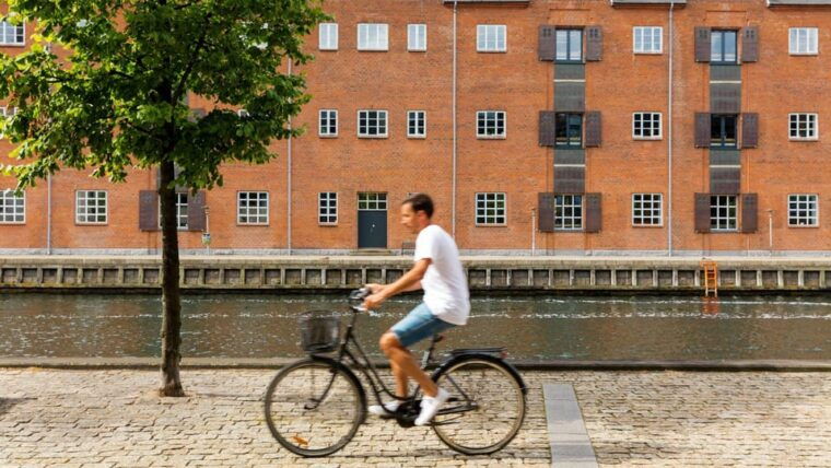 Best of Copenhagen: Private Walking Tour with a Local - The Value in Context