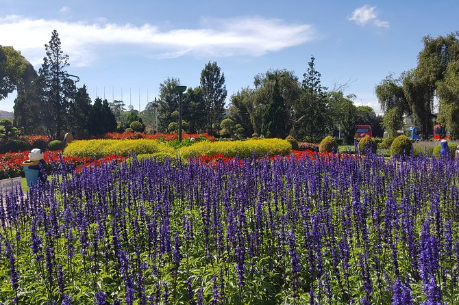 Best of Da Lat Muslim Tour From Saigon 3 Days (Without Hotel) - Halal Dining Options Throughout the Tour