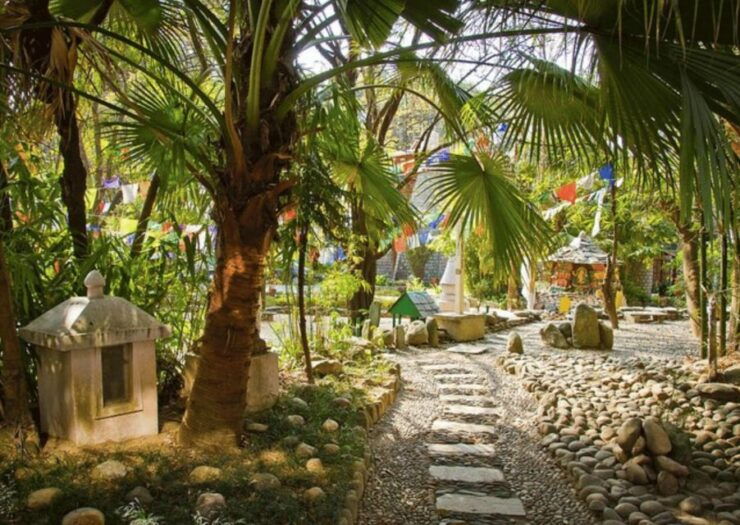 Best of Dharamshala With a Local - Full Day Guided Tour - Tour Details