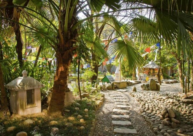 Best of Dharamshala With a Local Half Day Tour by a AC Car - Booking