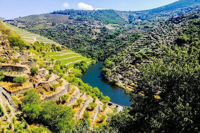 Best of Douro Valley Wine Full Day Private Tour - Cancellation and Refund Policy