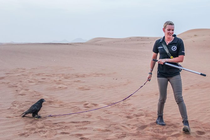 Best of Dubai : Dubai City Tour Evening Desert Safari With All Activities - Directions and Booking Details