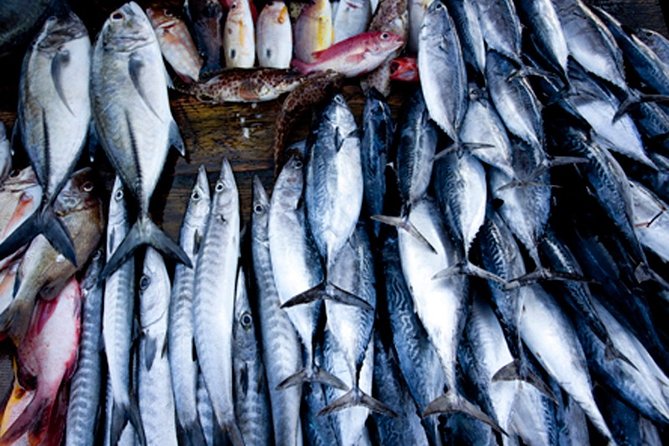 Best of East and Surf - Sri Lanka ( 10 N / 11 D) - Transportation Details