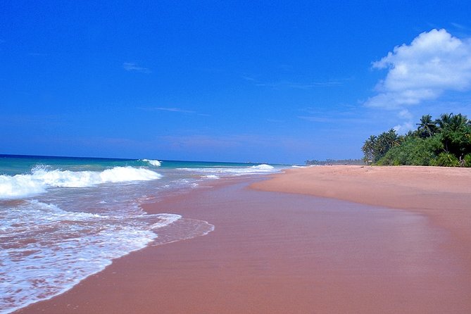 Best of East and Surf - Sri Lanka ( 10 N / 11 D) - Tour Highlights